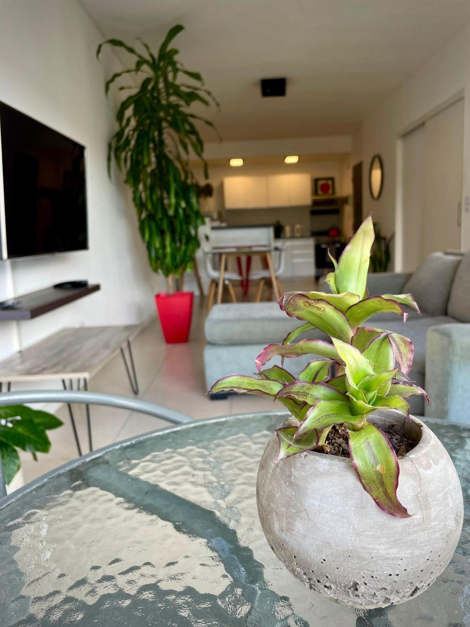 Apartamento Palermo Hollywood Ciudad Autónoma de Ciudad Autónoma de Buenos Aires Exterior foto